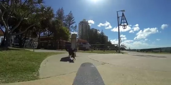 Didga le chat fait du skateboard